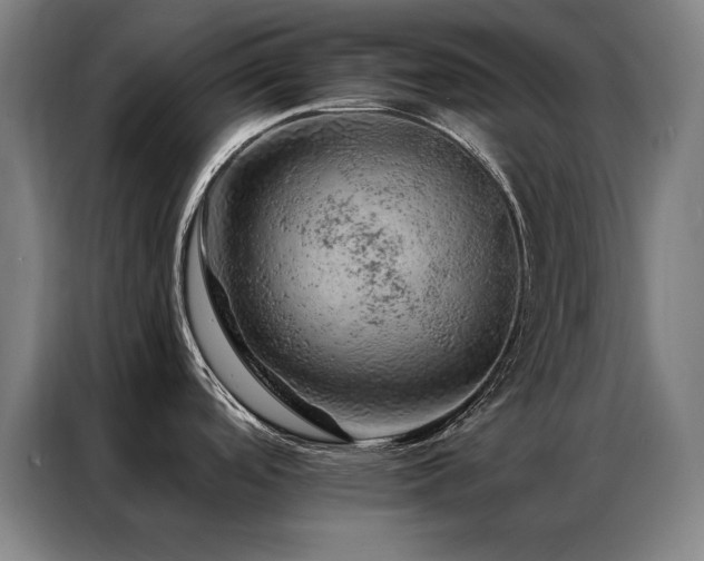X0000087381488200704201236