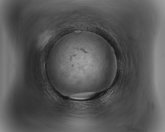 X0000087381489200704201236