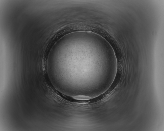 X0000087381490200704201236