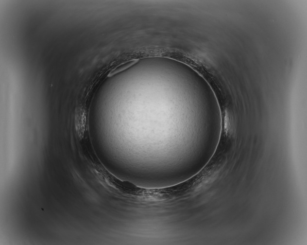 X0000087381492200704201236