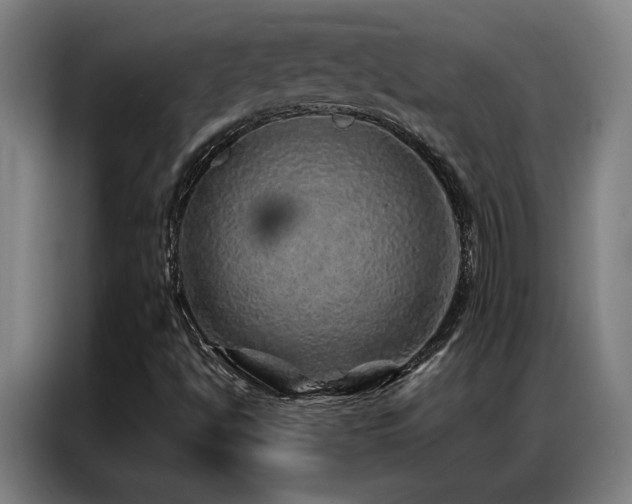 X0000087381494200704201236