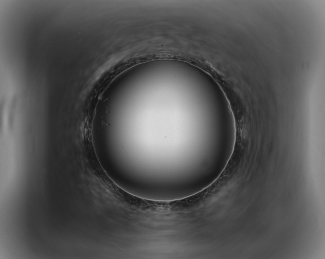X0000087381495200704201236
