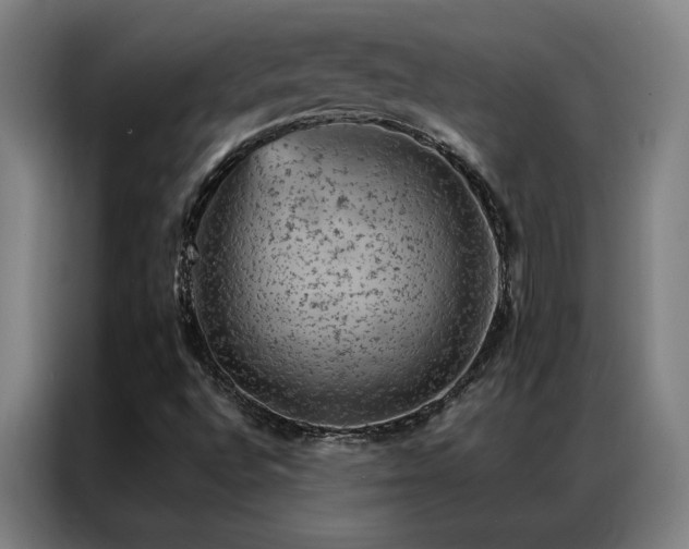 X0000087381496200704201236
