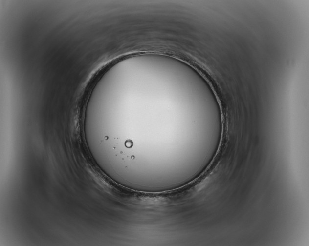 X0000087381498200704201236