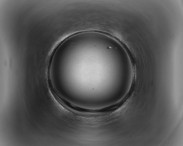 X0000087381500200704201236
