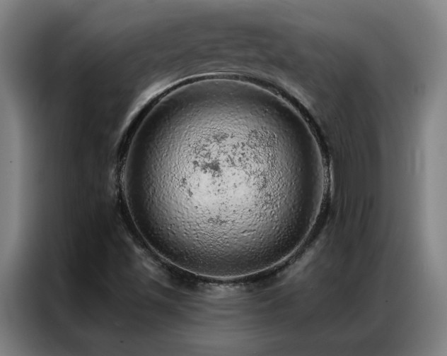 X0000087381501200704201236