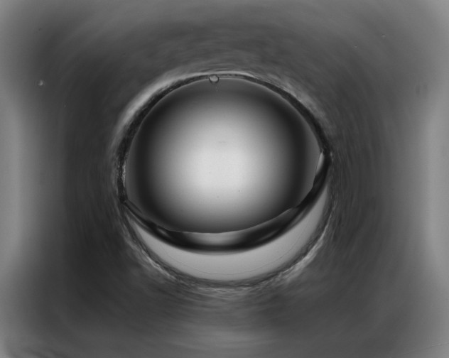 X0000087381502200704201236