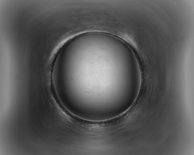 X0000087381504200704201236