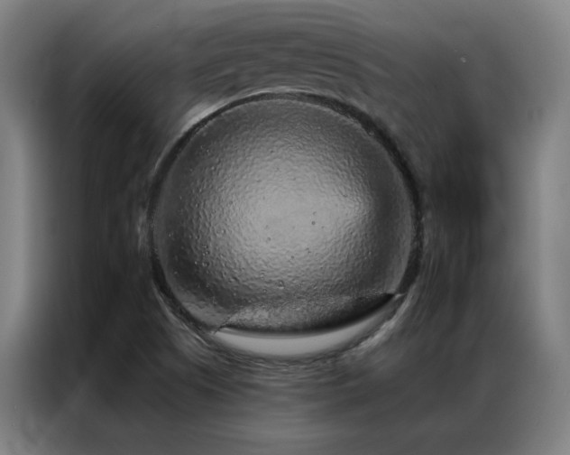 X0000087381505200704201236