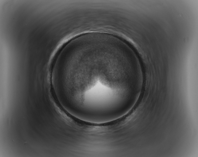 X0000087381506200704201236