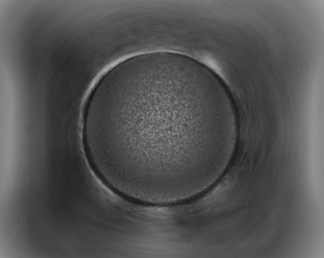X0000087381508200704201236