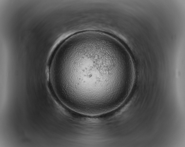 X0000087381509200704201236