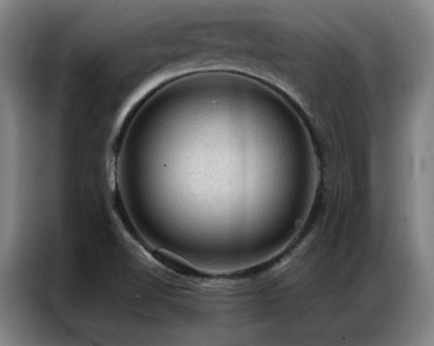 X0000087381510200704201236
