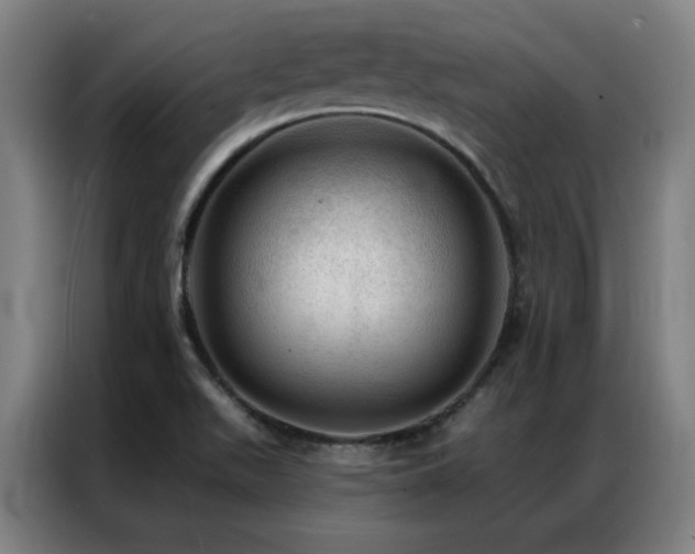 X0000087381511200704201236