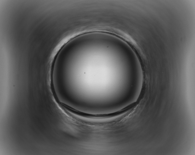 X0000087381512200704201236