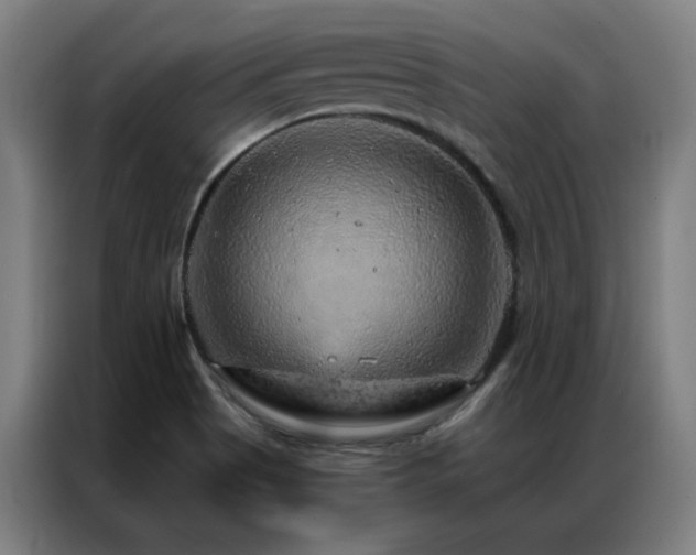 X0000087381513200704201236