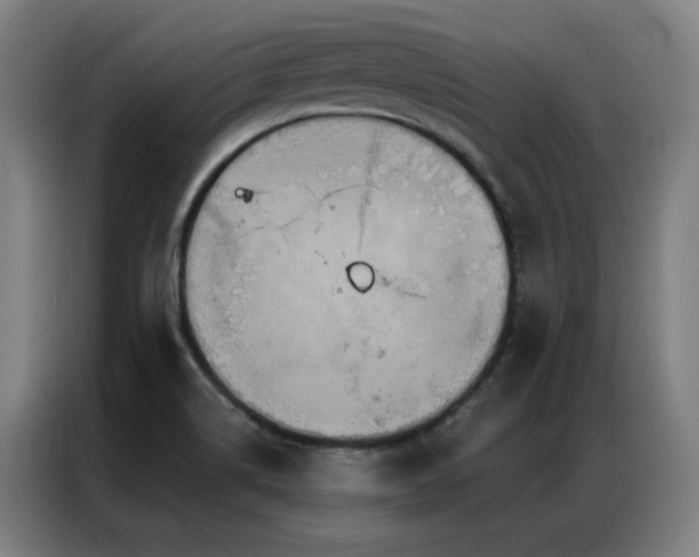 X0000087381514200704201236
