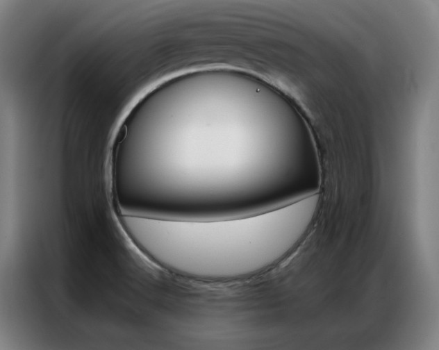 X0000087381516200704201236