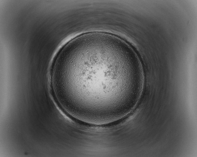 X0000087381517200704201236