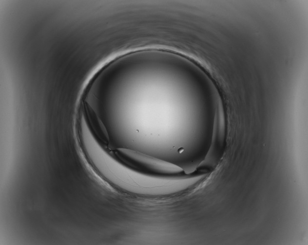 X0000087381518200704201236