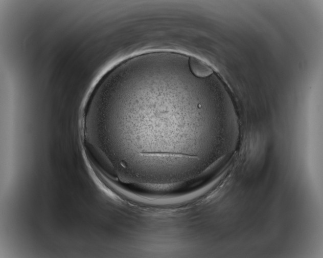 X0000087381519200704201236