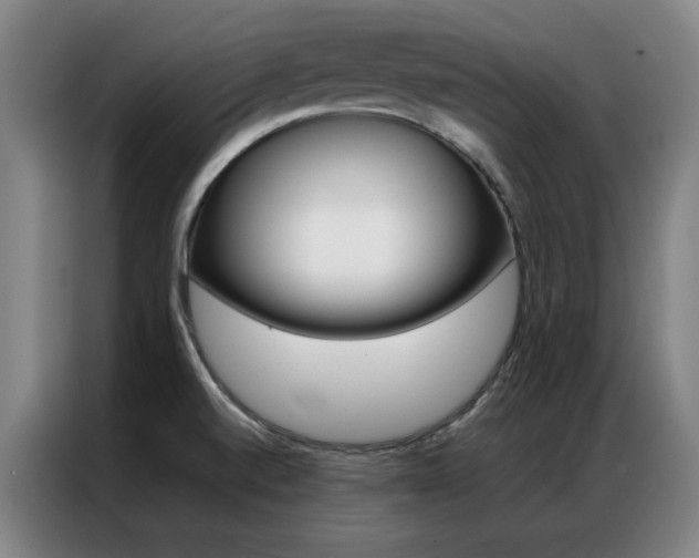 X0000087381520200704201236