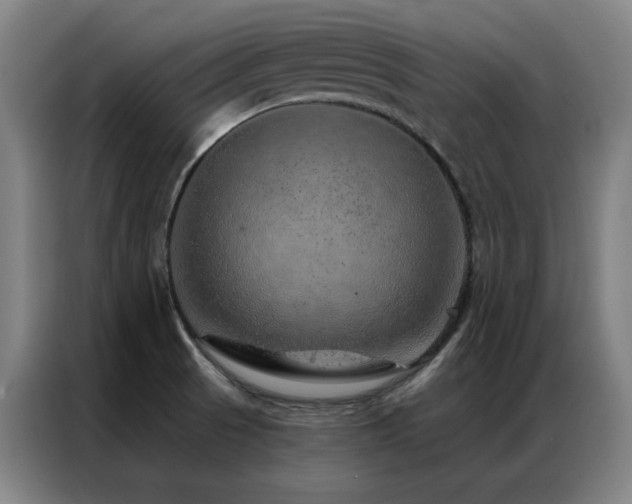 X0000087381521200704201236