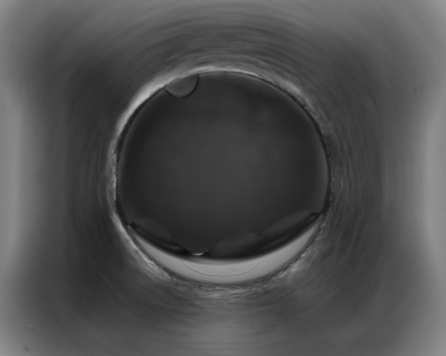 X0000087381522200704201236