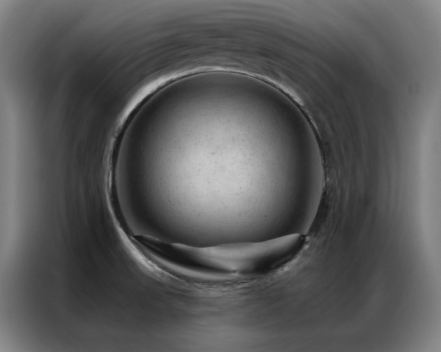 X0000087381523200704201236