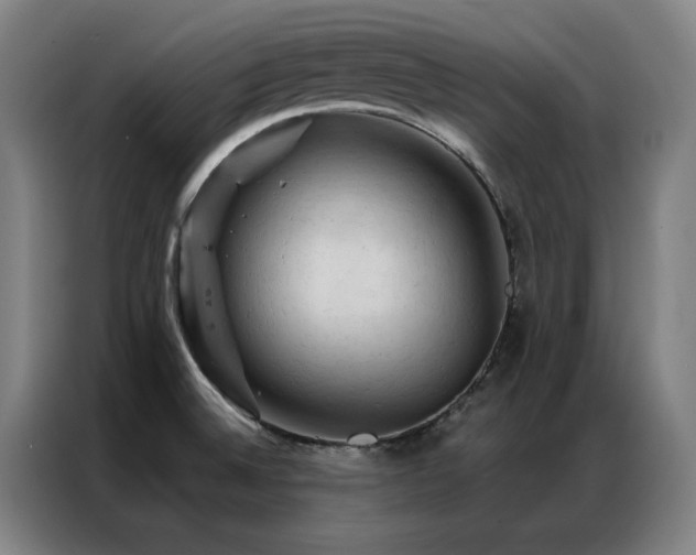 X0000087381524200704201236