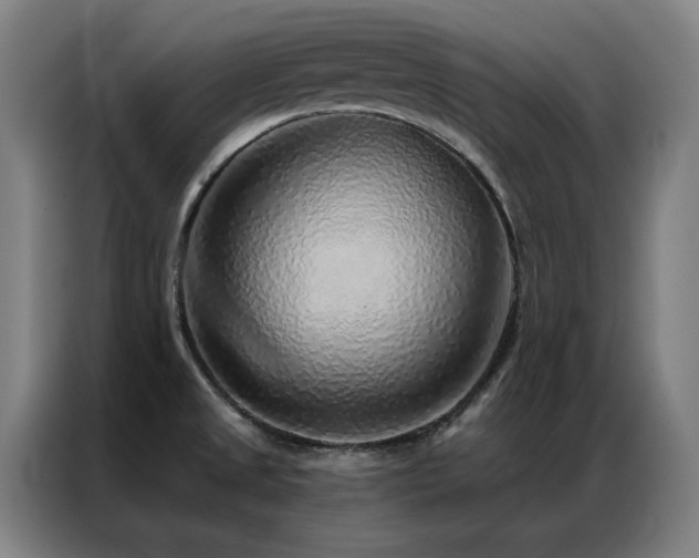 X0000087381525200704201236
