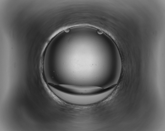 X0000087381526200704201236