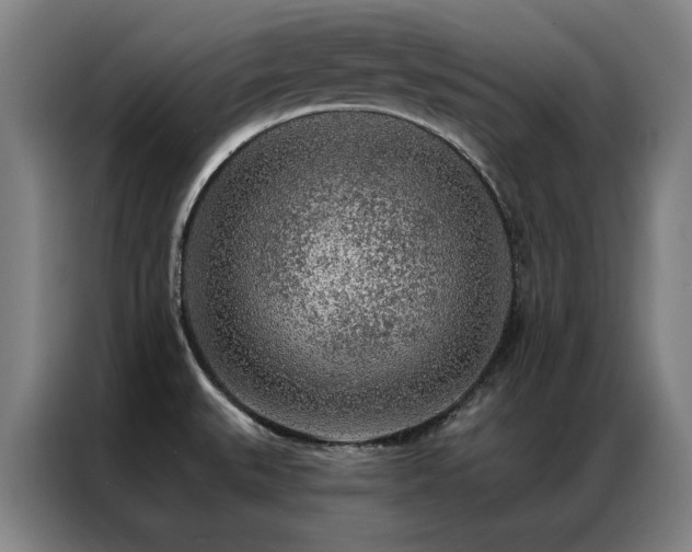 X0000087381527200704201236