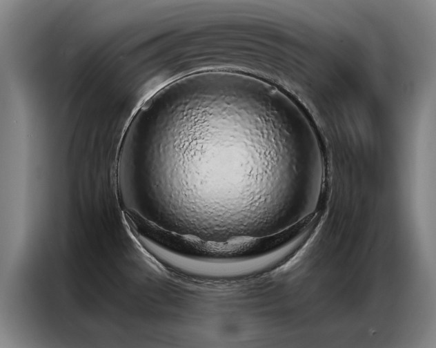 X0000087381529200704201236
