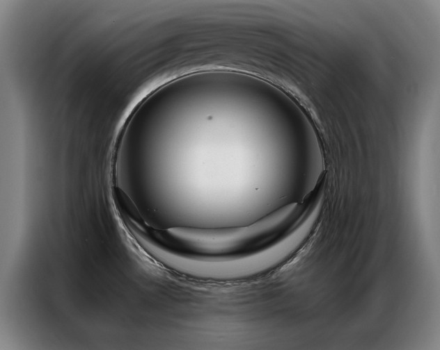 X0000087381530200704201236