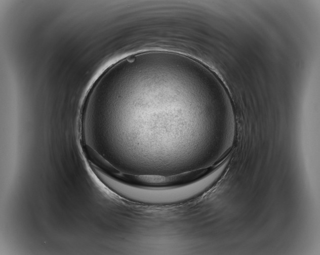 X0000087381531200704201236
