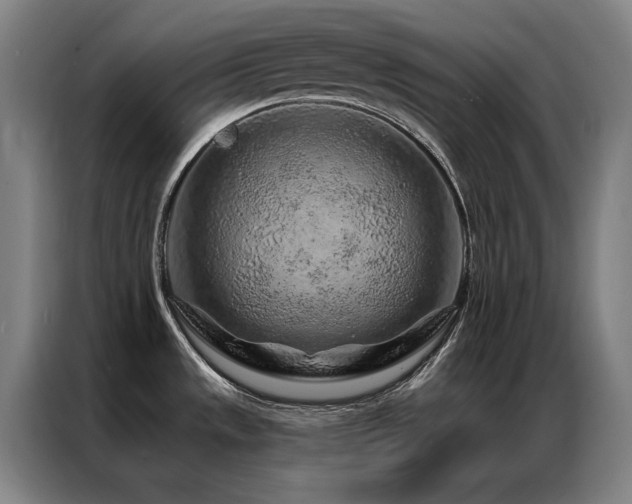 X0000087381533200704201236
