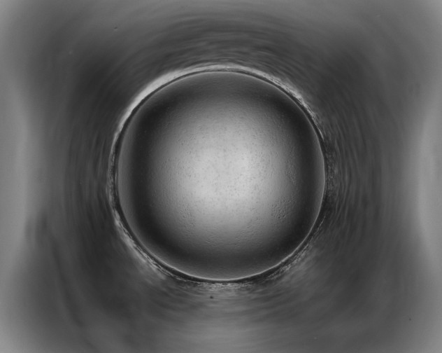 X0000087381534200704201236