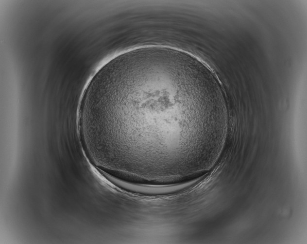 X0000087381535200704201236