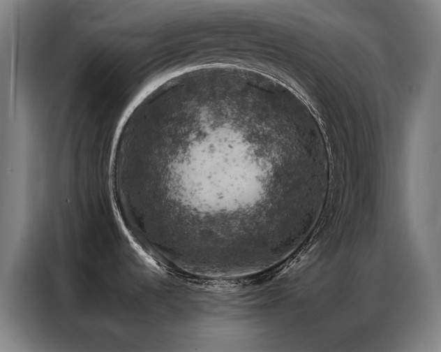 X0000087381536200704201236
