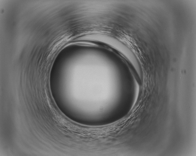 X0000087380001200704271609