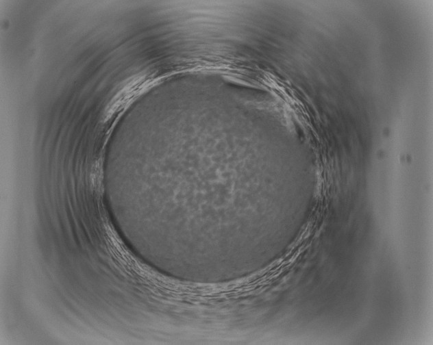 X0000087380002200704271609