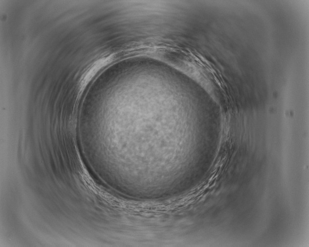 X0000087380003200704271609