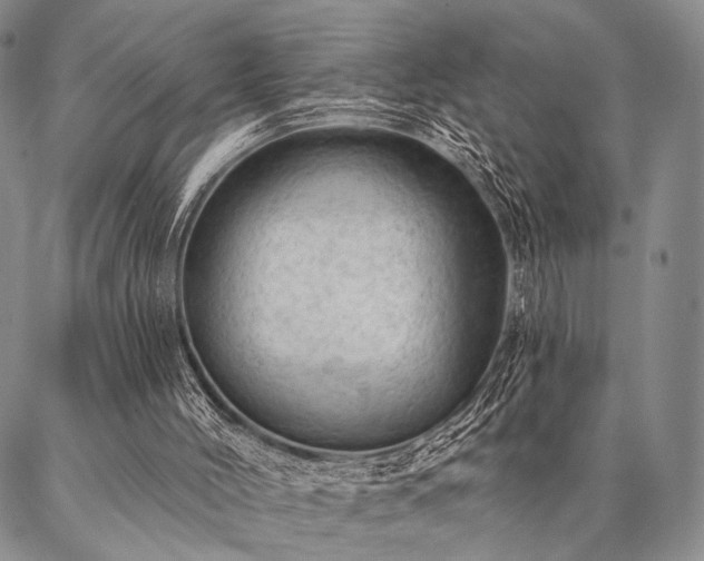 X0000087380004200704271609