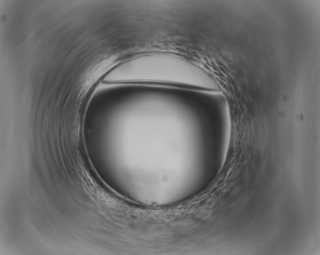 X0000087380005200704271609