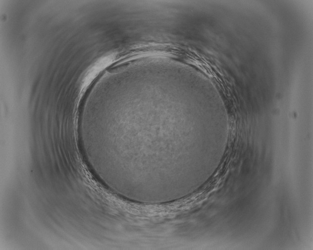 X0000087380006200704271609