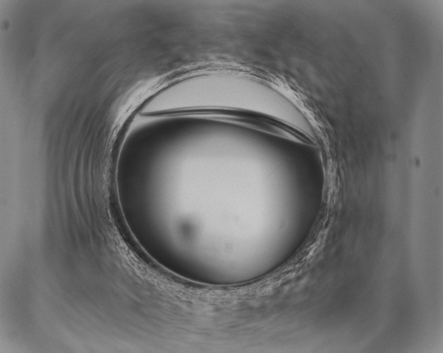 X0000087380007200704271609