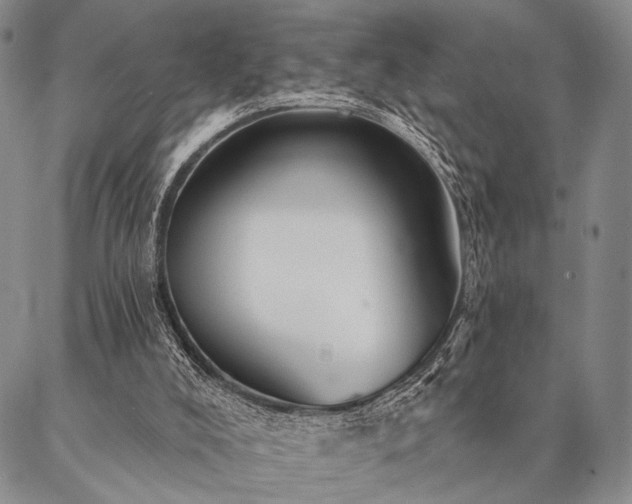 X0000087380008200704271609