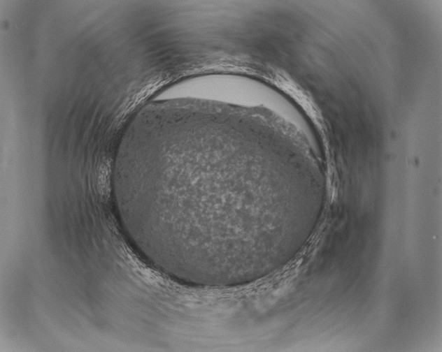 X0000087380009200704271609