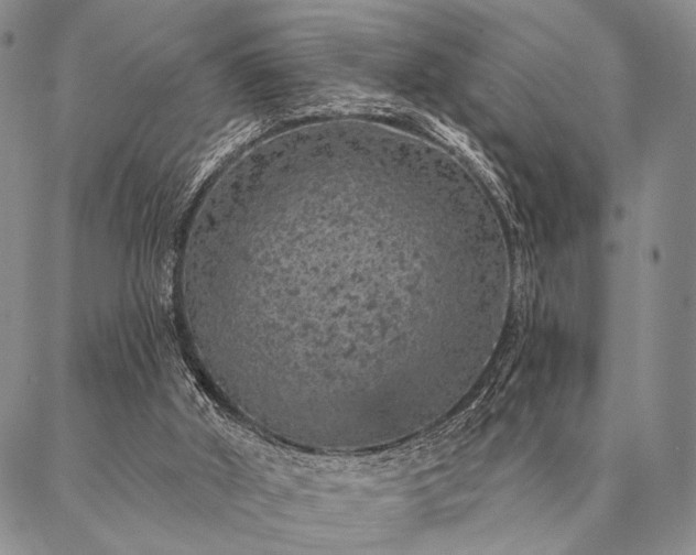 X0000087380010200704271609